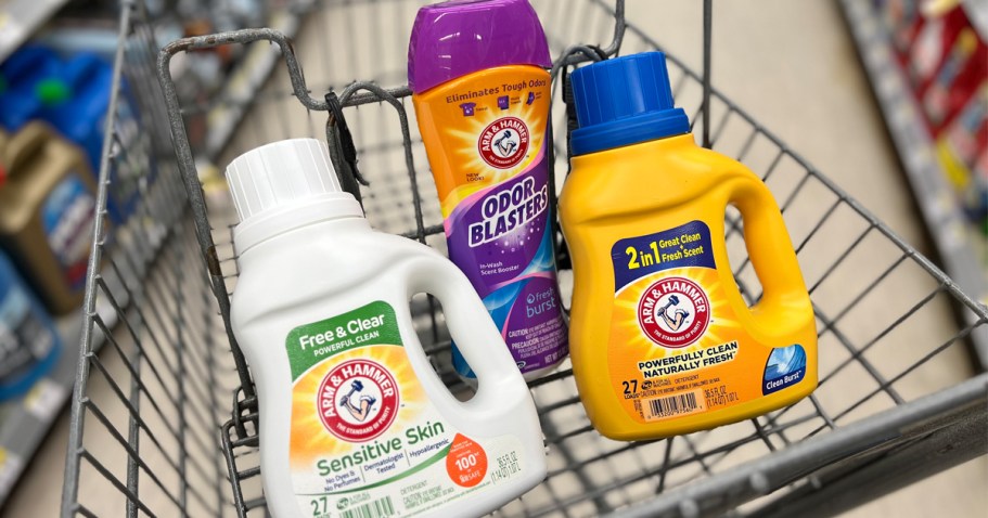 Buy One, Get TWO Free Arm & Hammer Laundry Products at Walgreens