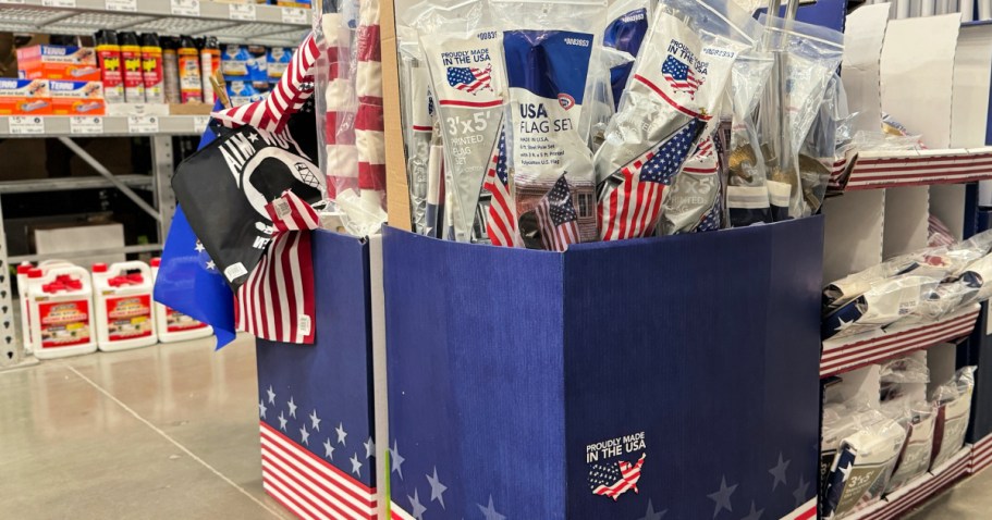 Complete American Flag Kit Only $9.98 Shipped on Lowes.com (Perfect for Memorial Day & 4th of July!)