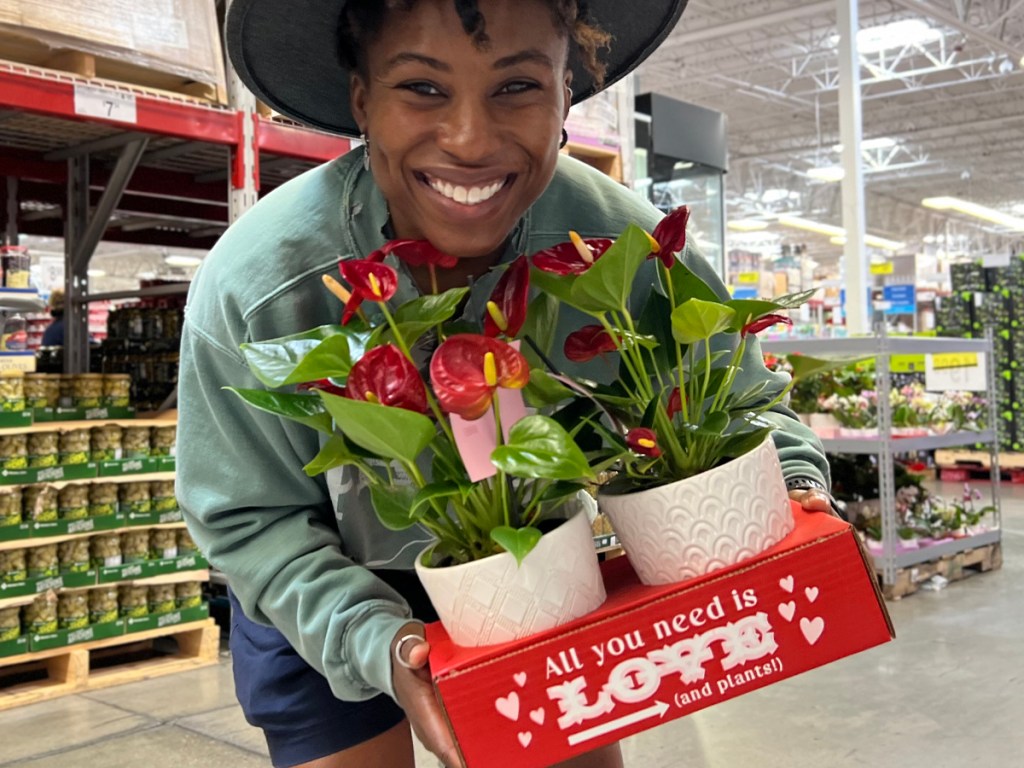 Person holding a Valentine's Day Plant Multi-Pack at Sam’s