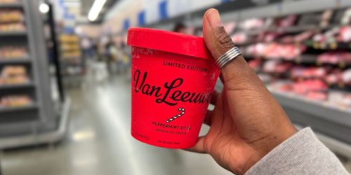 NEW Limited Edition Van Leeuwen Ice Cream Flavors | Peppermint, Kettle Corn, & More!