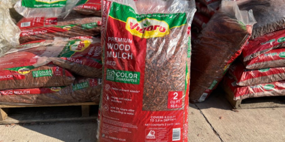 Home Depot Spring Black Friday Sale | $2 Mulch, $4 Plants, 33¢ Pavers + More!