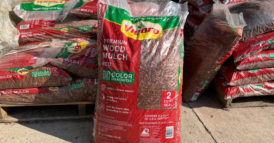 Home Depot Spring Black Friday Sale | $2 Mulch, $4 Plants, 33¢ Pavers + More!