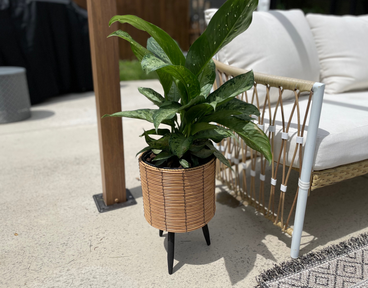 A Thurlow Resin Planter from the Walmart outdoor decor and patio collection