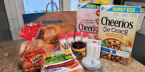 Walmart InHome Delivery FREE 30-Day Trial – No Tipping EVER (It’s Worth it for this Perk Alone!)