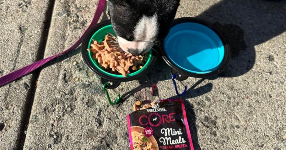 Wellness Core Dog Food 24-Count Variety Pack ONLY $13.98 Shipped on Amazon (Reg. $40)