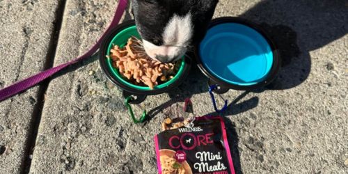Wellness Core Dog Food 24-Count Variety Pack ONLY $13.98 Shipped on Amazon (Reg. $40)