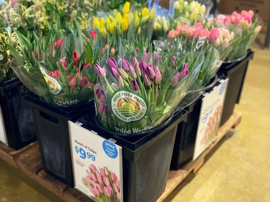 Large in-store display of tulips