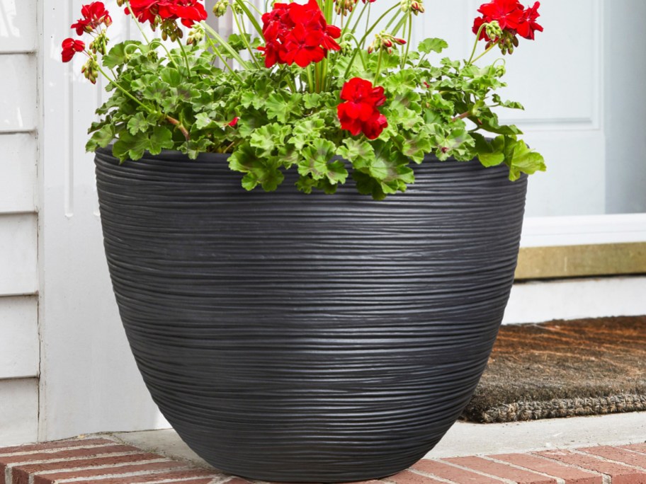 red flowers in a black planter on porch