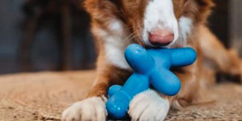 Squeaky Balloon Dog Toy ONLY $4.50 on Amazon (Regularly $9)
