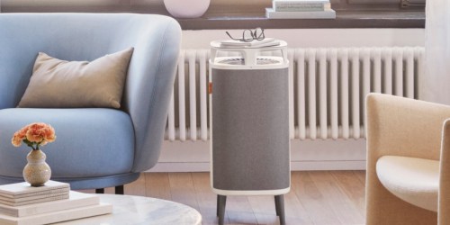 Blueair Air Purifiers from $144 Shipped (Regularly $360) | Works w/ Alexa