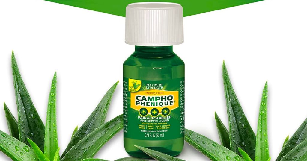 campho phenique original formula bottle sitting between two aloe vera fronds