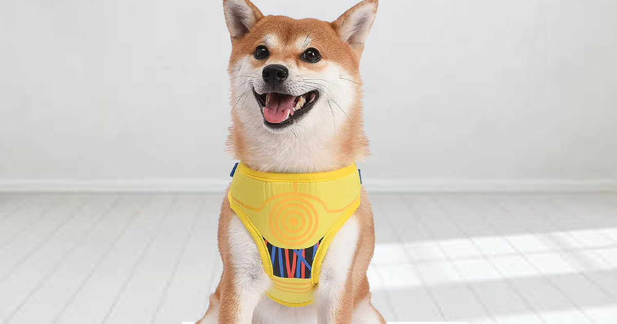 Star Wars C3PO Dog Harness ONLY $3.37 on Amazon (Regularly $16) | Hip2Save