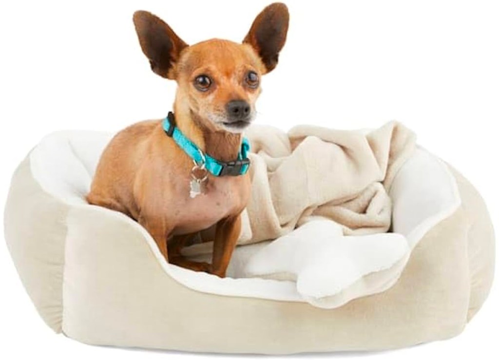 tan dog sitting in beige dog bed