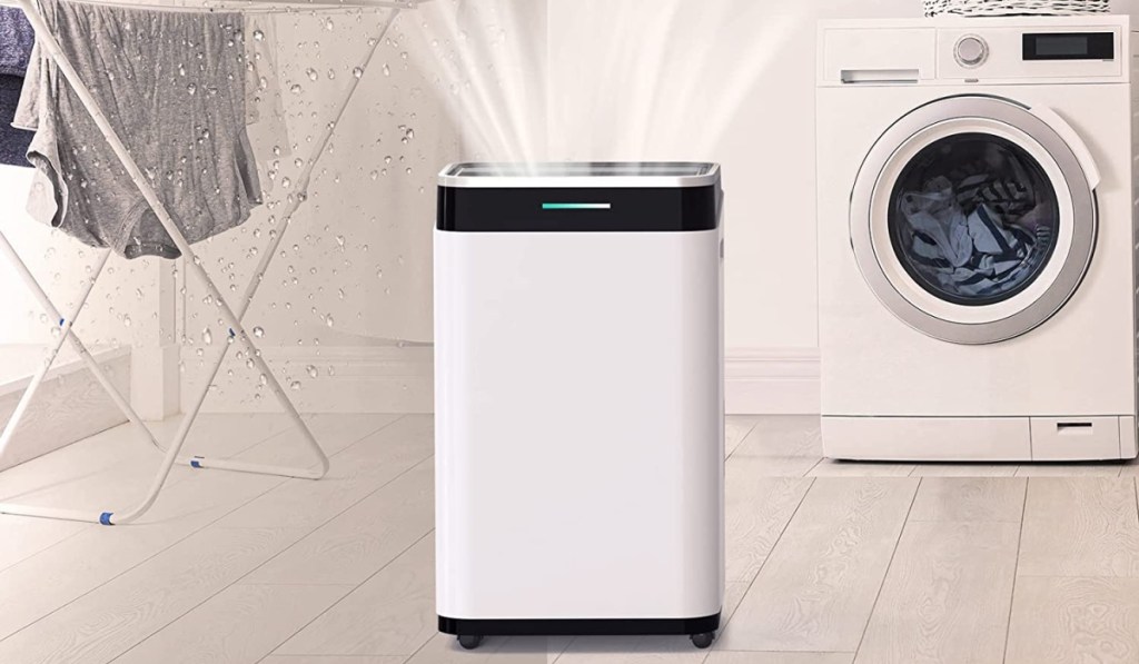 dehumidifier in laundry room