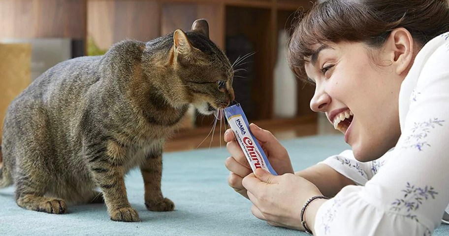 woman feeding inaba churu to gray cat