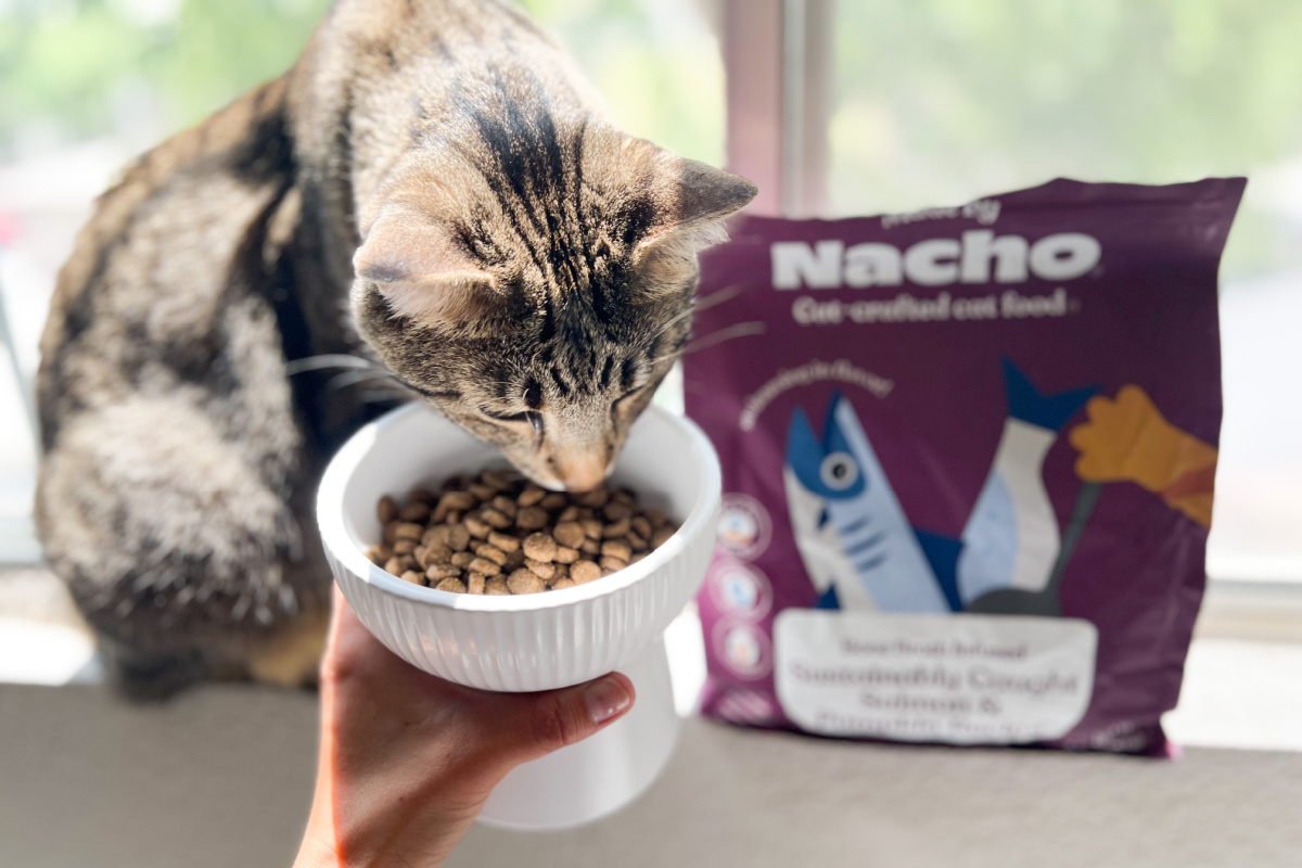 Chef Bobby Flay Created Made by Nacho Cat Food & Even Picky Cats Will Love It (+ Save $2 at PetSmart!)