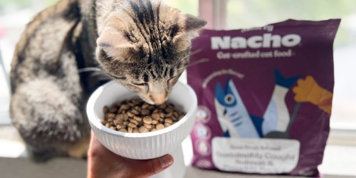 Chef Bobby Flay Created Made by Nacho Cat Food (Even Picky Cats Will Love It!)