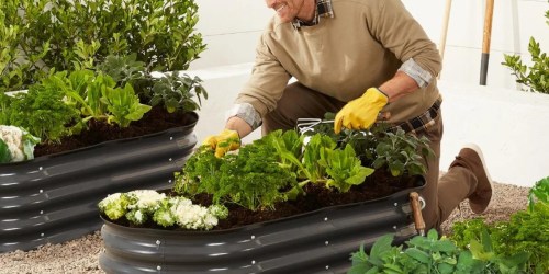 HUGE Raised Garden Beds Only $45 Shipped (Regularly $90) | Grow Veggies, Herbs, & More