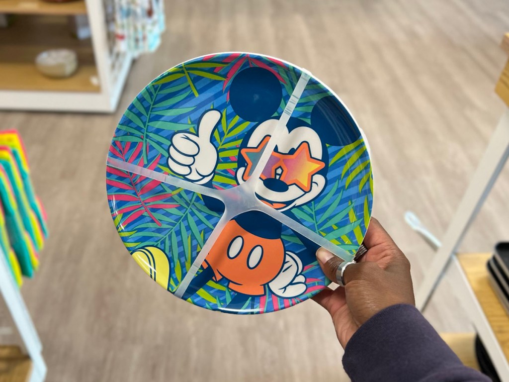 hand holding mickey plate 4pack