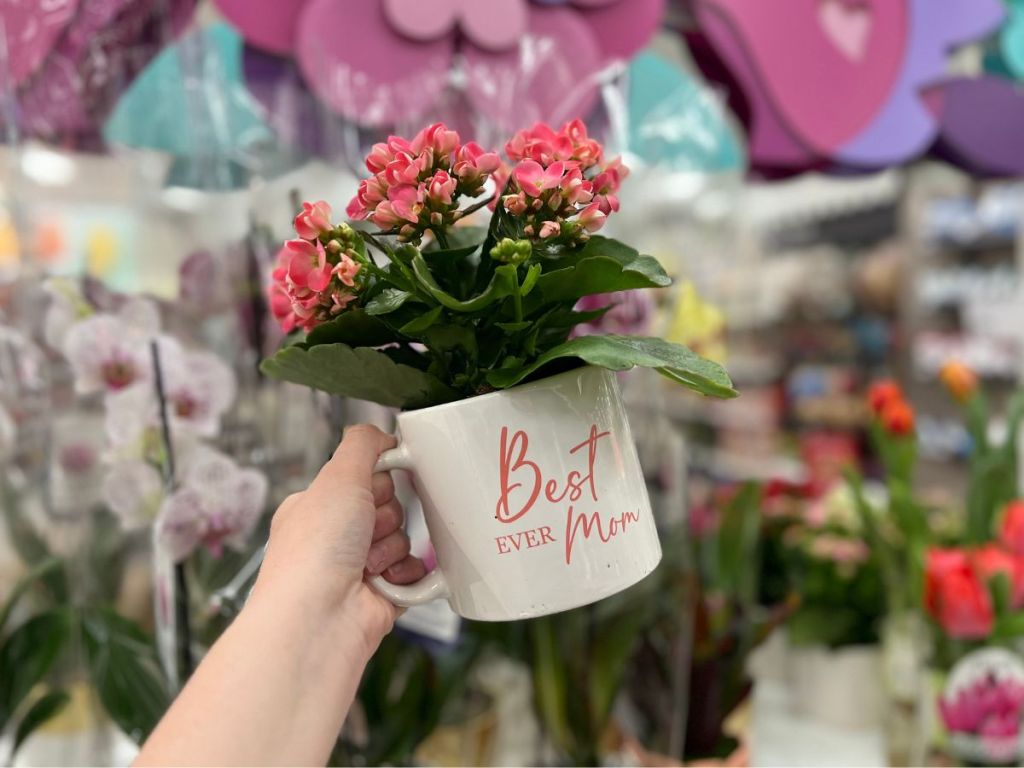 person holding Best Ever Mom Mug filled w/ Flowers 