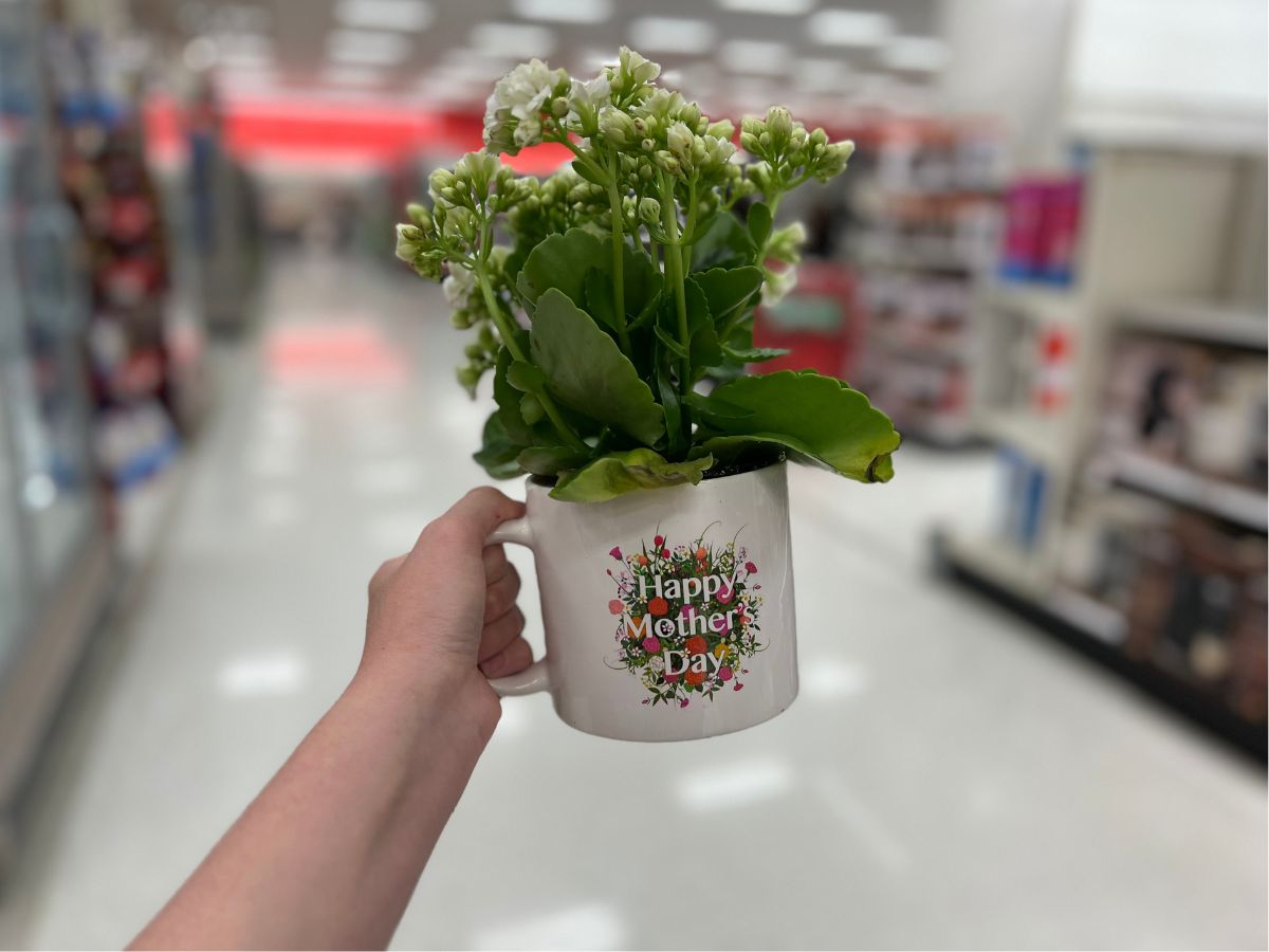 Target Has Matching Mom & Mini $10 Mug Sets – SheKnows