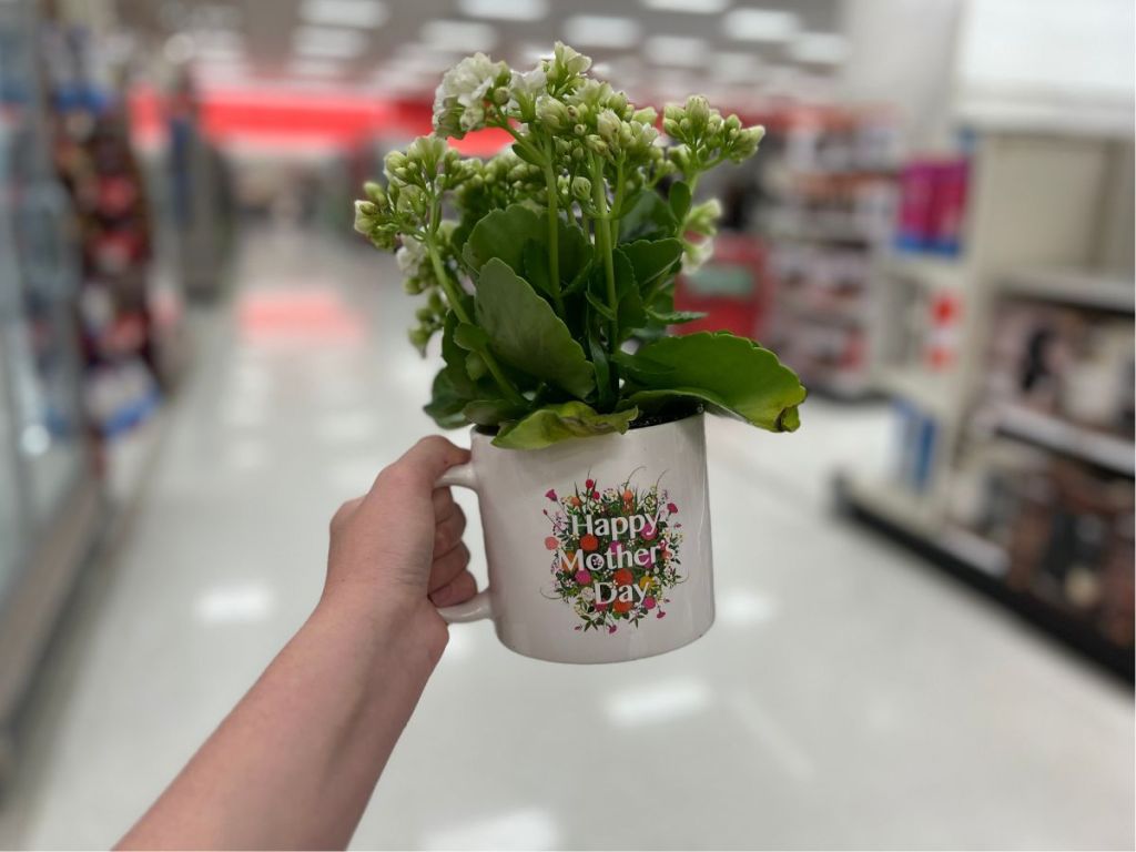 person holding Happy Mother's Day Mug filled w/ Flowers 