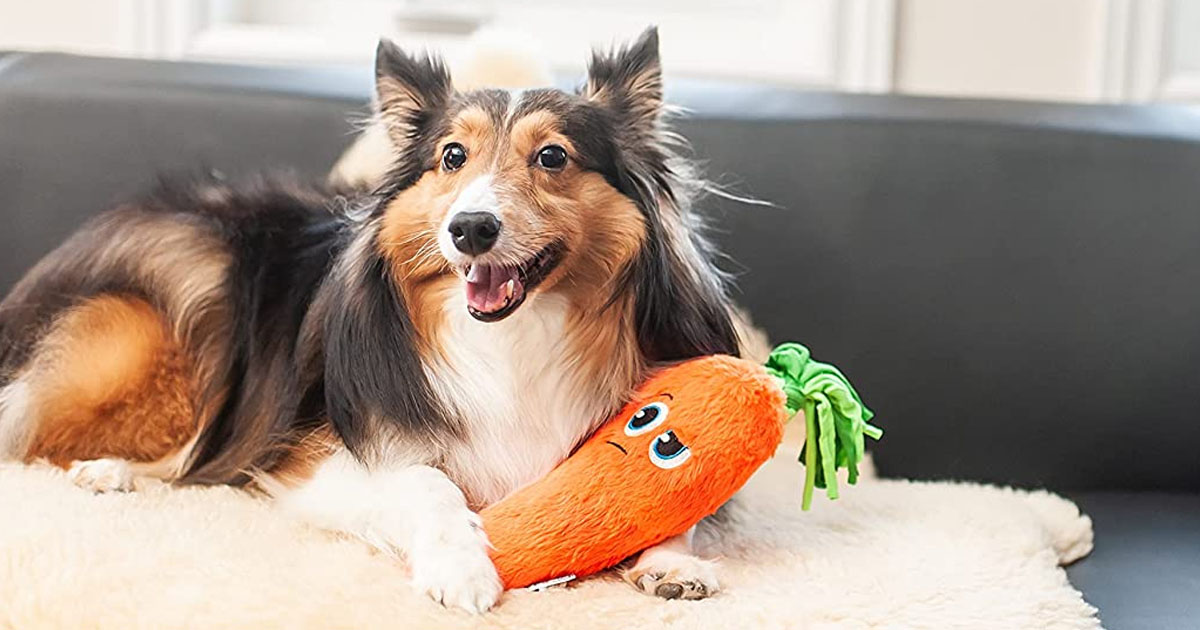 Up to 50 Off Outward Hound Dog Toys on Amazon (Prices from 5) Hip2Save