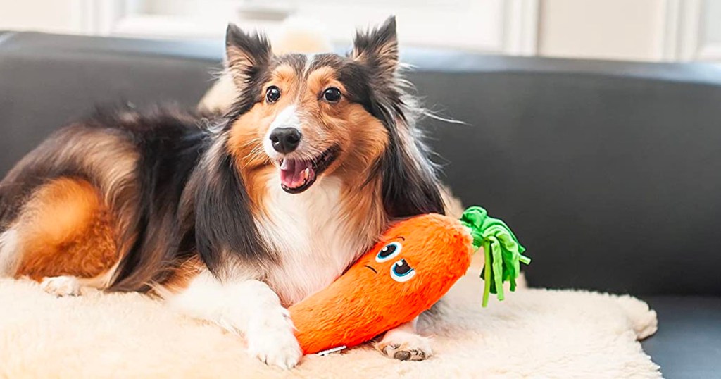 dog sitting with carrot toy