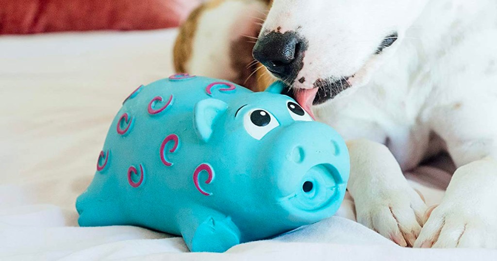 dog licking blue pig toy