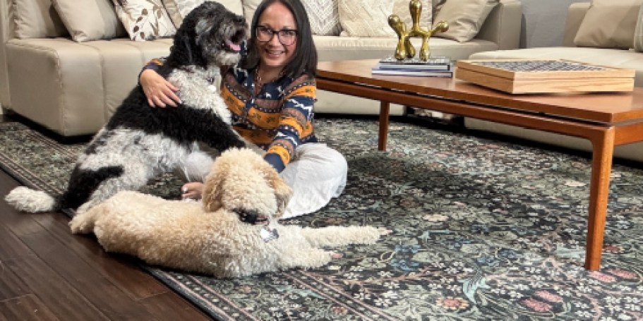 These Washable Rugs Are a Game Changer for Pet Owners & They’re on Sale!