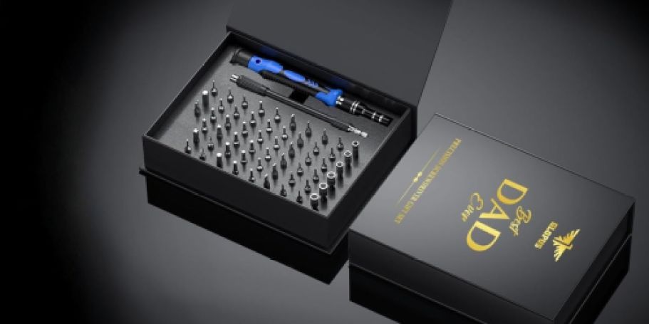 Gift-Able 57-Piece Screwdriver Set for Dad Only $7.49 on Amazon (Reg. $16)