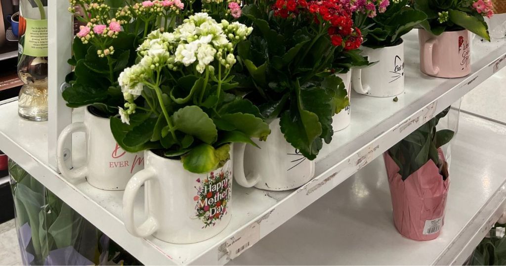 various Mother's Day mugs filled with flowers