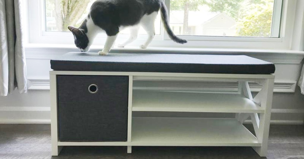 cat walking on white and gray storage bench in front of window 