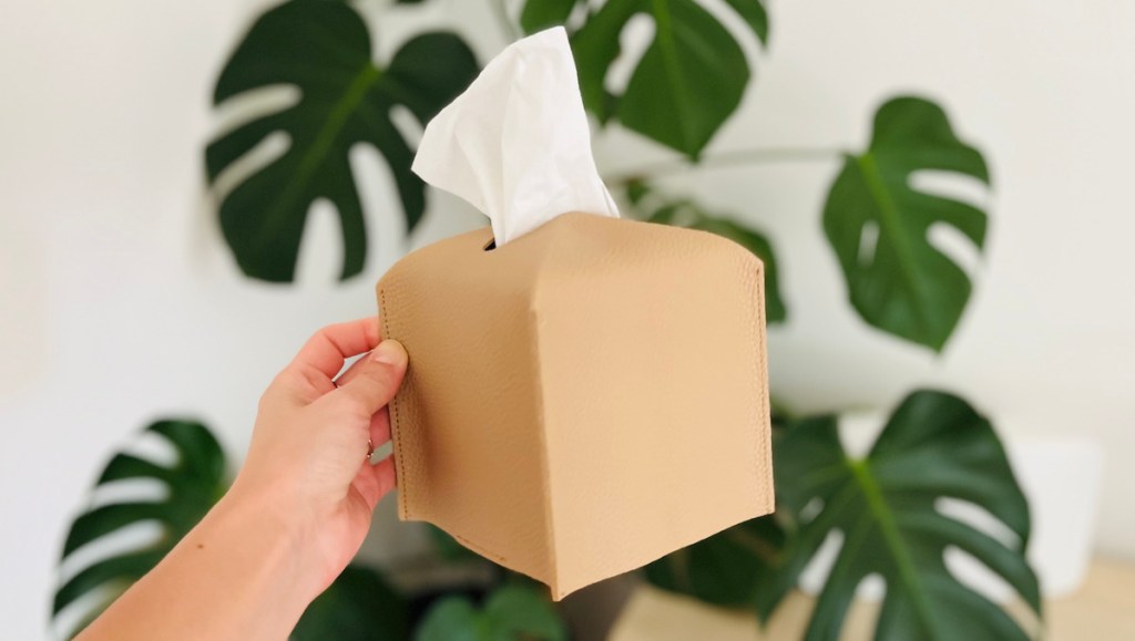 hand holding a light brown leather tissue box with cover on it in front of green plant