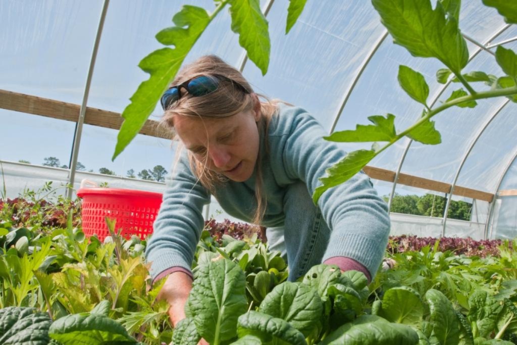 woman gardening in greenhouse
