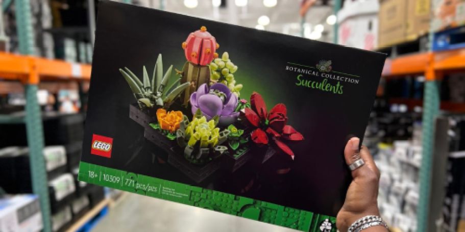 *HOT* Up to 50% Off LEGO Sale (Including Lowest Prices Ever on Botanicals!)