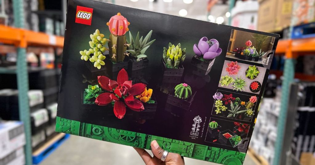 LEGO Botanical Collections Succulents Set in woman's hand at Costco 