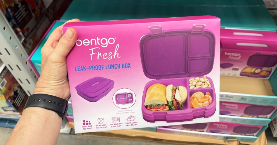 hand holding a purple bentgo lunchbox
