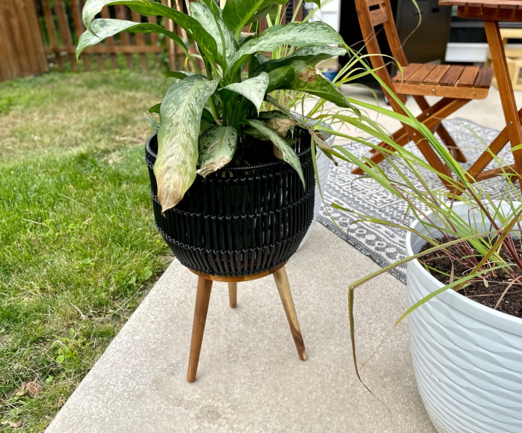 A better homes and gardens black rattan planter from Walmart on a back patio