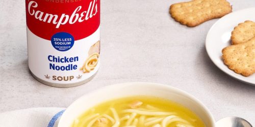 Campbell’s Chicken Noodle Soup 12-Pack Only $11.34 Shipped on Amazon (Reg. $14)
