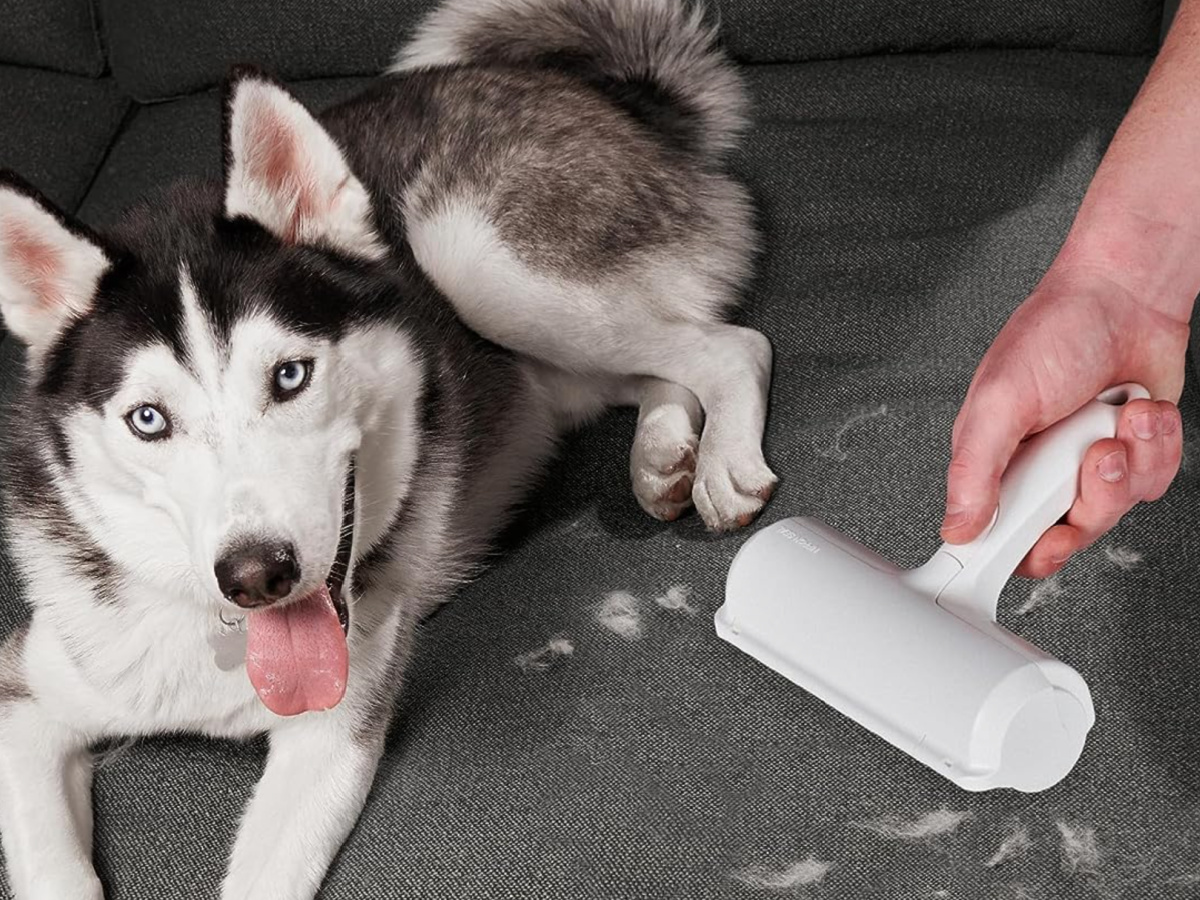 ChomChom Pet Hair Remover Roller JUST $11 on Amazon (Over 138,000 5-Star Reviews!)