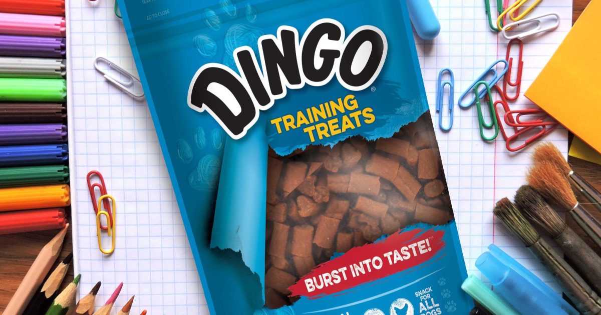 Dingo Training Treats Only $8.40 Shipped on Amazon (Regularly $12)