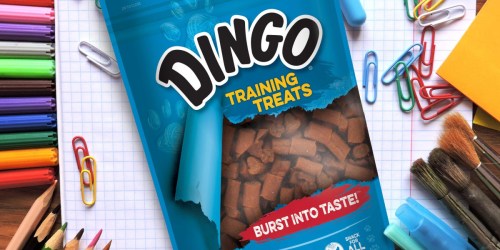 Dingo Training Treats Only $1.43 Shipped on Amazon (Regularly $12) | Lowest Price Ever!