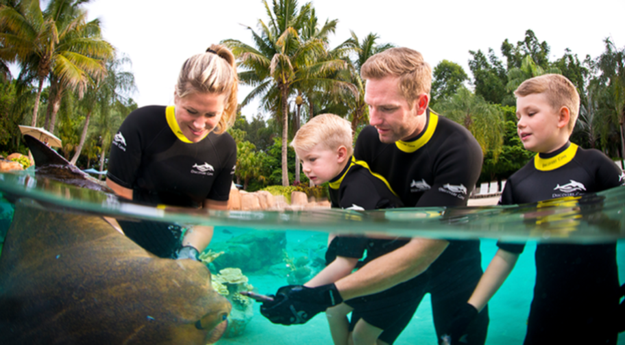 Family feeding sting rays at Discovery Cove