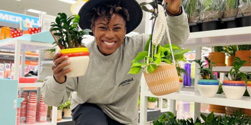 **Live Potted & Hanging Plants at Target Starting at Only $10 (Easy to Care For!)