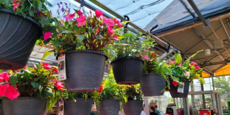 Home Depot Memorial Day Sale = Hot Buys on Plants, Mulch, Grills, Tools & More