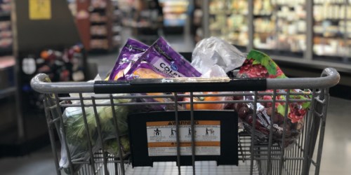 How to Save Money on Groceries in 2024 (Our 10 Best Tips!)
