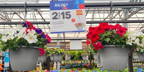 Lowe’s 4th of July Sale is BACK | Save on Plants, Paint, Patio Furniture & More