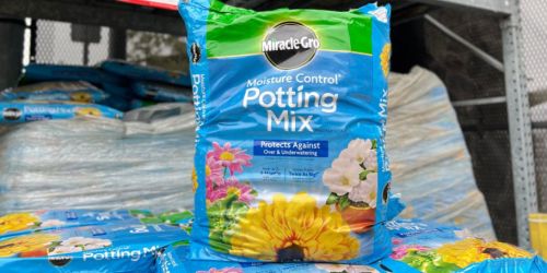 Miracle-Gro Potting Soil Only $7.50 on Lowes.com (Reg. $15)