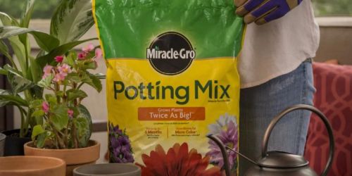Miracle-Gro Potting Mix Only $6.47 After Walmart Rewards (Regularly $22)